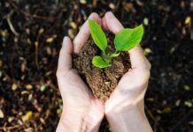 Час протестів пройшов: вчені закликають борців за порятунок планети зайнятися справою