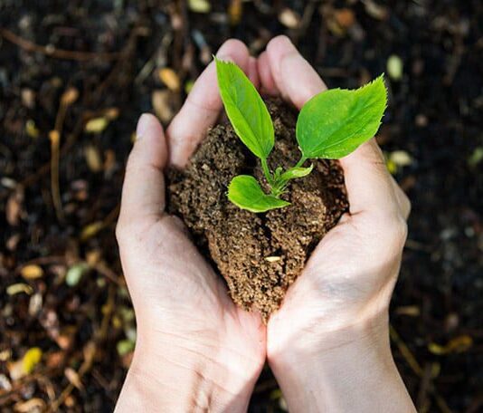 Час протестів пройшов: вчені закликають борців за порятунок планети зайнятися справою