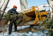 Житомирян закликають утилізувати свої новорічні ялинки