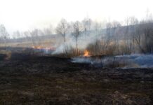 На Житомирщине огонь от сухой травы сжигает сотни гектаров и здания людей