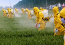 За рік у землю на Житомирщині вкинули 1,5 тонн пестицидів