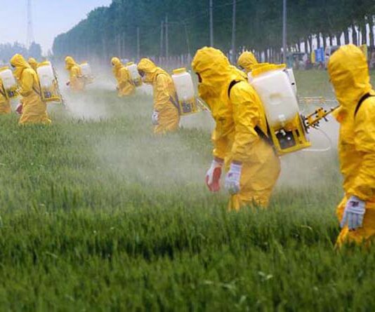 За рік у землю на Житомирщині вкинули 1,5 тонн пестицидів