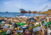 Забруднення пластиковими відходами світового океану і боротьба з ним