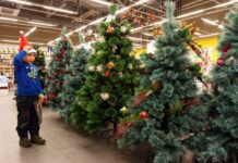 Яку ялинку вибрати: штучну чи живу?