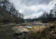 Власть Житомира ищет альтернативные источники водоснабжения