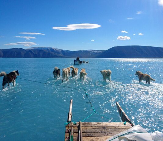 Людству загрожує Всесвітній потоп?