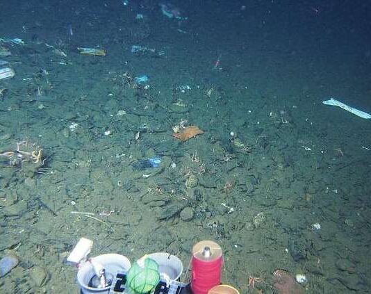 Мікропластик виявлений на 11000-метровій глибині Маріанської западини