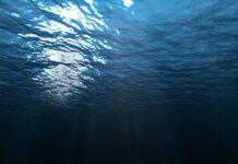 Вчені пояснили, чому Світовий океан змінює колір