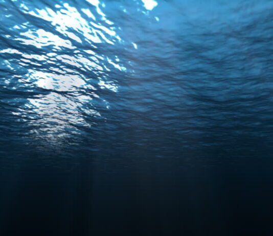 Вчені пояснили, чому Світовий океан змінює колір