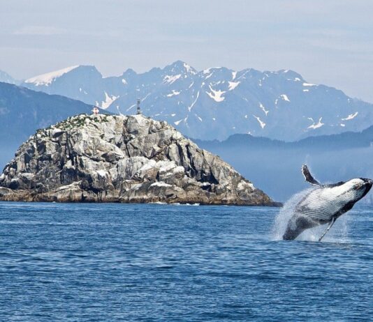 Речі і вчинки, від яких повинні відмовитися люди заради порятунку планети