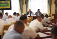 "Надо разобраться в теневых схемах лесной отрасли", — председатель Житомирской ОГА