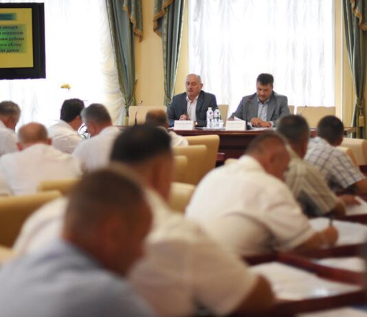 "Треба розібратися в тіньових схемах лісової галузі", – голова Житомирської ОДА