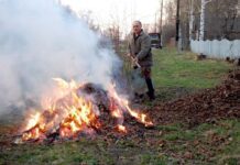 Житомир в дыму: как заставить людей не жечь листья
