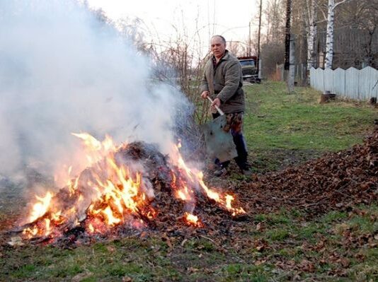 Житомир в диму: як змусити людей не палити листя