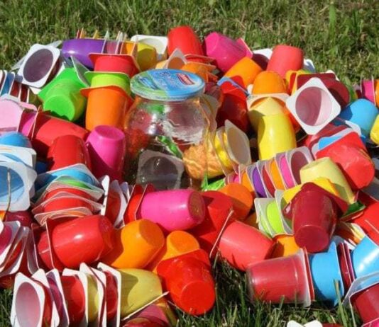 Тисячолітній період розпаду пластику назвали міфом: все набагато швидше – вчені