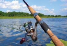 На Житомирщині з 1 квітня заборонять ловити раків та рибу