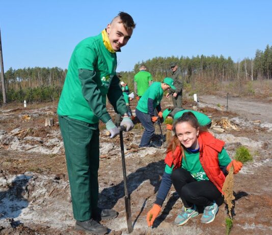 Житомирян запрошують долучитися до акції з озеленення України