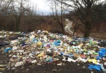 В Житомирской области за 2,5 года экологи получили более 140 обращений по стихийным свалкам