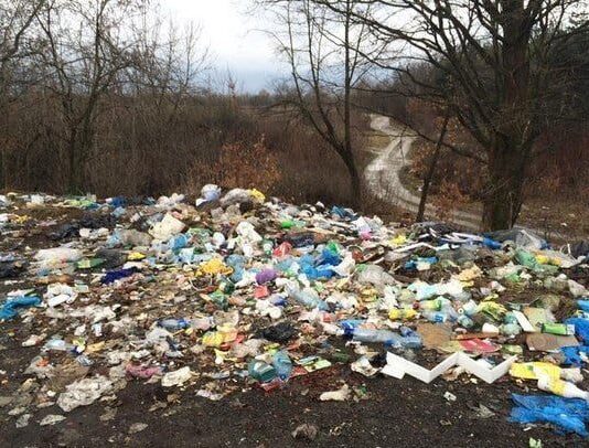 На Житомирщині за 2,5 роки екологи отримали більше 140 звернень щодо стихійних сміттєзвалищ