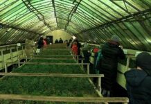 Маленьким житомирянам показали, де народжуються дерева