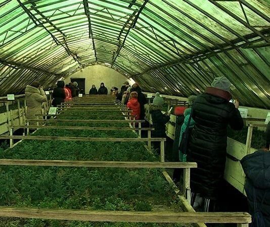 Маленьким житомирянам показали, де народжуються дерева