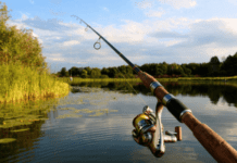 С 1 апреля в лесах Житомирщины объявляют "сезон тишины", а на водоемах нерестовый запрет