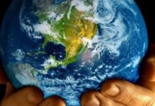 Житомир приєднається до акції «Година Землі»