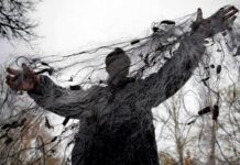 На Житомирщине март объявлен месяцем добровольной сдачи запрещенных орудий ловли