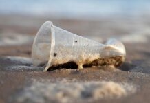 Що ти можеш зробити у боротьбі з пластиковим забрудненям?