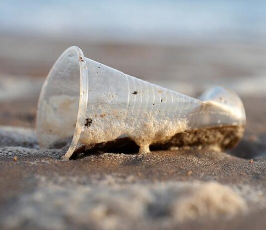 Що ти можеш зробити у боротьбі з пластиковим забрудненям?