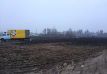 Землям Житомирщини завдано шкоди більш ніж на 2 мільйони гривень