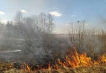 Житомирская область страдает от постоянных пожаров