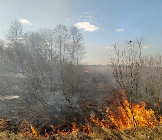 Житомирщина потерпає від постійних пожеж