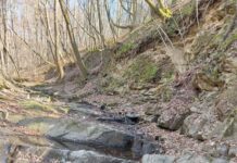 В Житомирской области стало больше заповедных территорий
