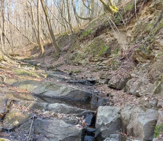 На Житомирщині побільшало заповідних територій