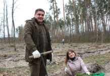На Житомирщині цієї весни висадили більше 20 мільйонів дерев
