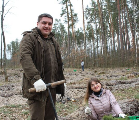 На Житомирщині цієї весни висадили більше 20 мільйонів дерев