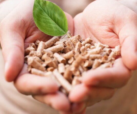 Розвиток ринку біомаси