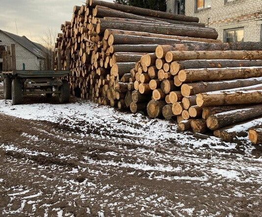 На Житомирщині ДБР проводить обшуки у лісгоспі та виявило збитків на 6 мільйонів гривень