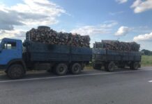 На Житомирщині була затримана вантажівка з лісопродукцією без документів