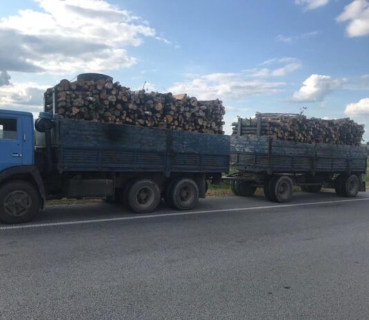 На Житомирщині була затримана вантажівка з лісопродукцією без документів