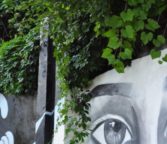 Що ми можемо зробити для екології просто зараз?