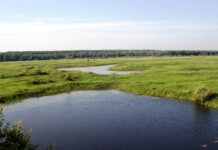 Між радіацією та вогнем: реалії заповідника «Древлянського» на Житомирщині