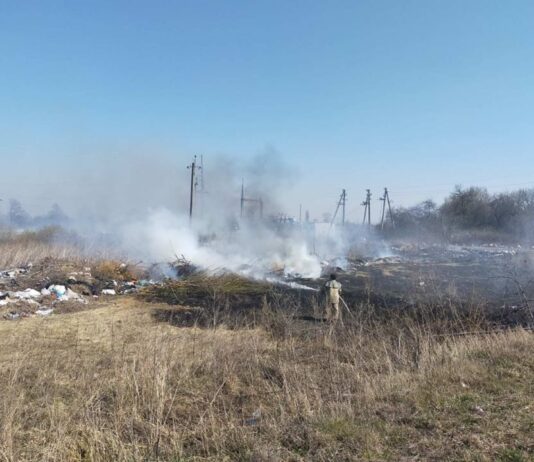 На Житомирщині горять сміттєзвалища
