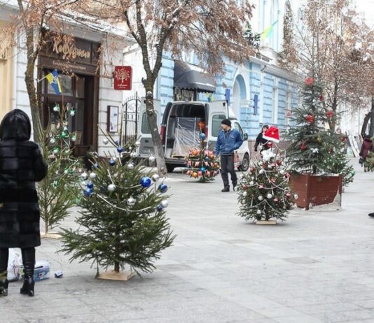 Житомиряни обурюються встановленням живих ялинок на Михайлівській