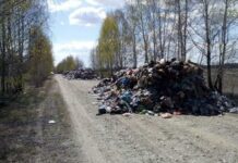 В Житомирскую область снова привезли горы мусора со Львова