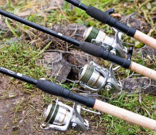 Коропові і фідерні котушки: відмінності