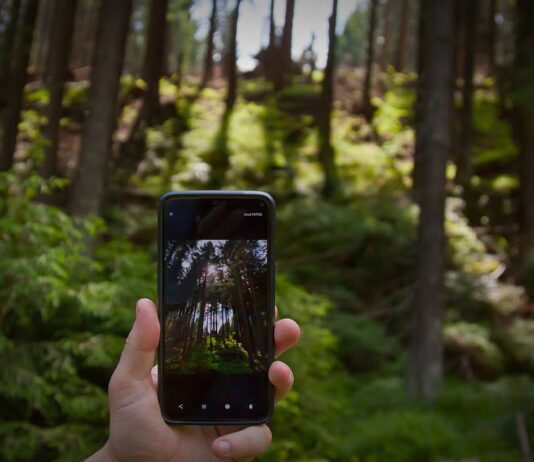 Житомирські ліси відтепер у смартфоні