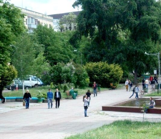 Під час реконструкції Нового бульвару у Житомирі хочуть зрізати понад 50 дерев