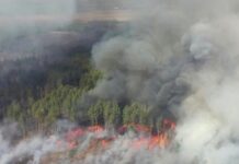 На Житомирской горит Полесский заповедник